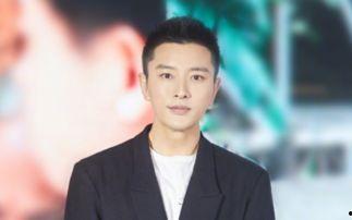 娱乐大爆料贾乃亮,揭秘明星背后的故事